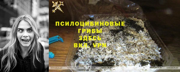 винт Коряжма
